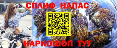 СК Камышлов