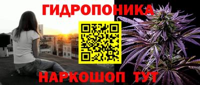 СК Камышлов