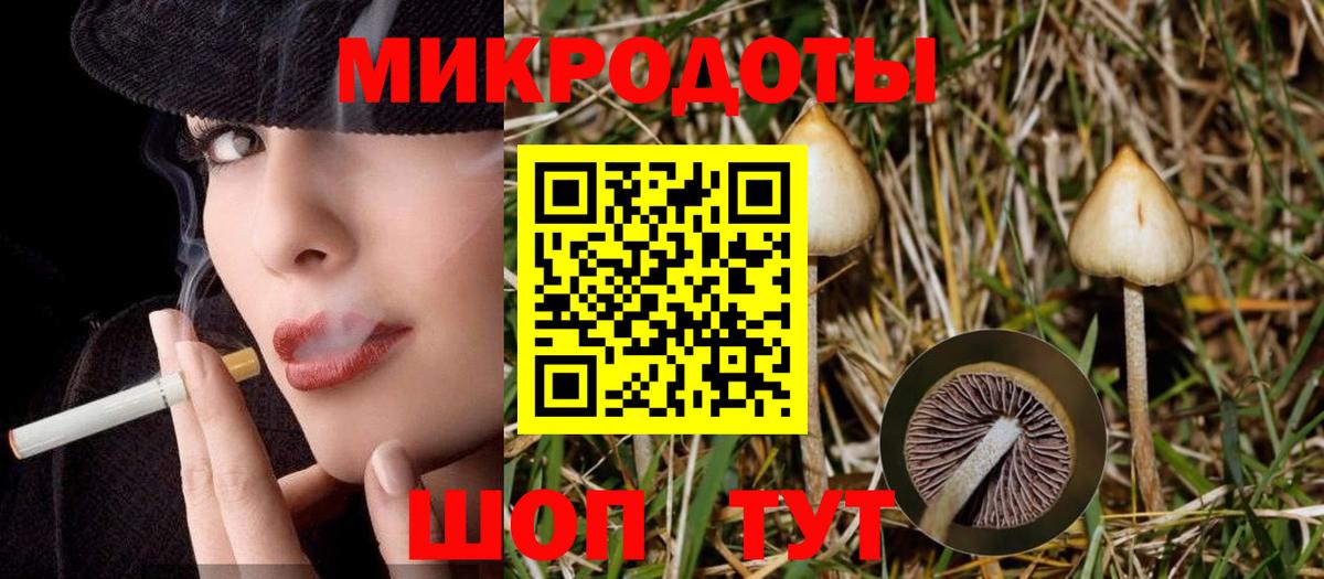 Галлюциногенные грибы MAGIC MUSHROOMS Дербент